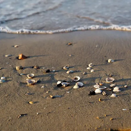 Amazing Flat With Terrace And Pool Apartment *