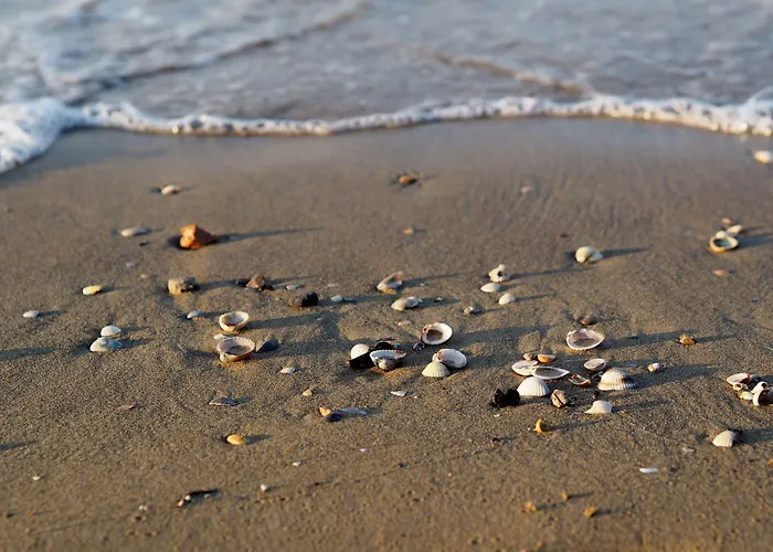 Amazing Flat With Terrace And Pool Lägenhet